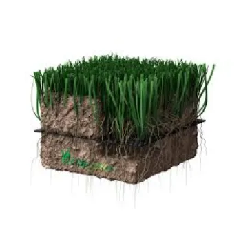 Garden Natural Grass
